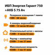 ИБП Энергия Гарант 750 + Аккумулятор S 75 Ач - 12В (450Вт - 91мин) - ИБП и АКБ - ИБП для котлов - . Магазин оборудования для автономного и резервного электропитания Ekosolar.ru в Балашихе